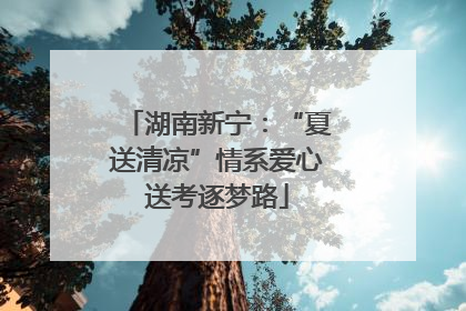 湖南新宁：“夏送清凉”情系爱心送考逐梦路
