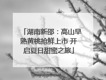 湖南新邵：高山早熟黄桃抢鲜上市 开启夏日甜蜜之旅