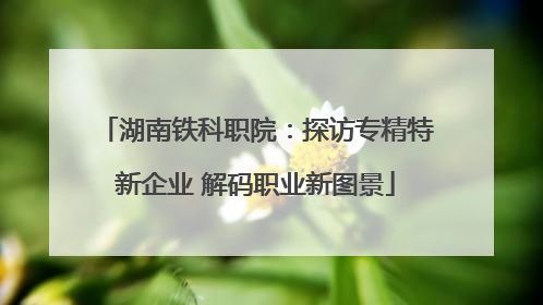湖南铁科职院：探访专精特新企业 解码职业新图景