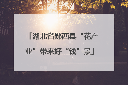 湖北省郧西县“花产业”带来好“钱”景