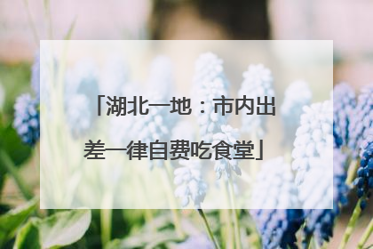 湖北一地：市内出差一律自费吃食堂