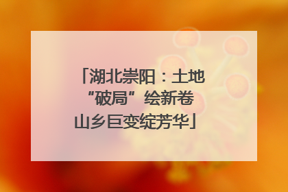 湖北崇阳：土地“破局”绘新卷 山乡巨变绽芳华