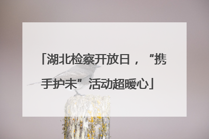 湖北检察开放日，“携手护未”活动超暖心