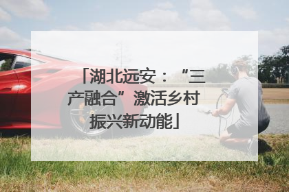 湖北远安：“三产融合”激活乡村振兴新动能