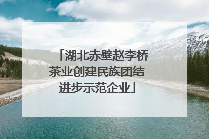 湖北赤壁赵李桥茶业创建民族团结进步示范企业