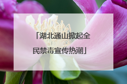 湖北通山掀起全民禁毒宣传热潮