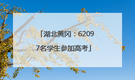 湖北黄冈：62097名学生参加高考