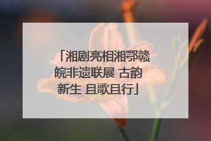 湘剧亮相湘鄂赣皖非遗联展 古韵新生 且歌且行