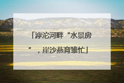 滹沱河畔“水景房”，崖沙燕育雏忙