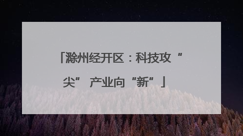 滁州经开区：科技攻“尖” 产业向“新”