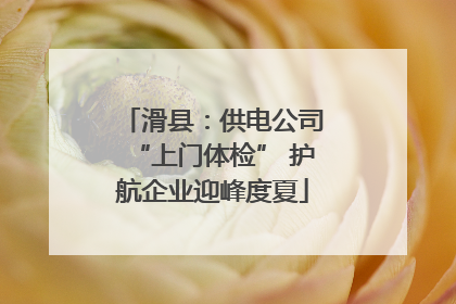 滑县：供电公司“上门体检” 护航企业迎峰度夏