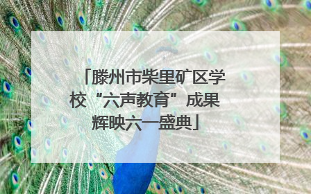 滕州市柴里矿区学校“六声教育”成果辉映六一盛典