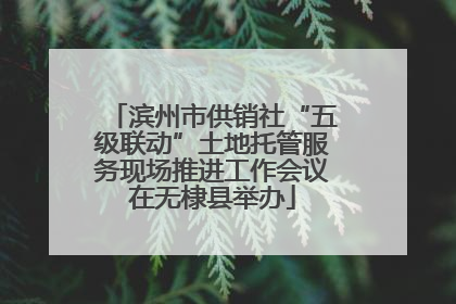 滨州市供销社“五级联动”土地托管服务现场推进工作会议在无棣县举办