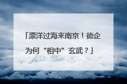 漂洋过海来南京！德企为何“相中”玄武？