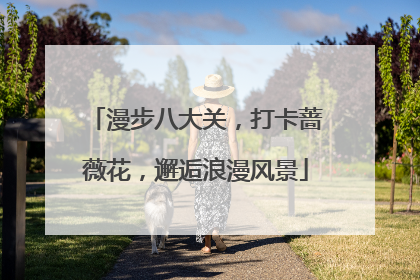 漫步八大关，打卡蔷薇花，邂逅浪漫风景