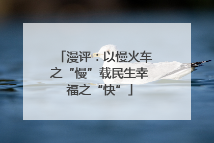 漫评：以慢火车之“慢”载民生幸福之“快”