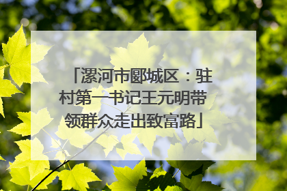 漯河市郾城区：驻村第一书记王元明带领群众走出致富路