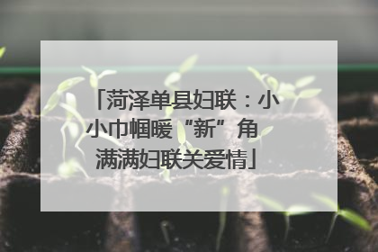 菏泽单县妇联：小小巾帼暖“新”角 满满妇联关爱情