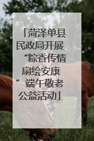 菏泽单县民政局开展“粽香传情 扇绘安康”端午敬老公益活动
