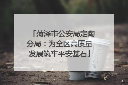 菏泽市公安局定陶分局：为全区高质量发展筑牢平安基石