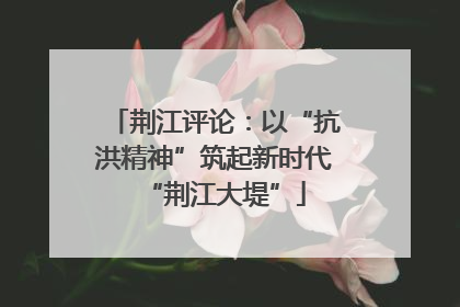 荆江评论：以“抗洪精神”筑起新时代“荆江大堤”