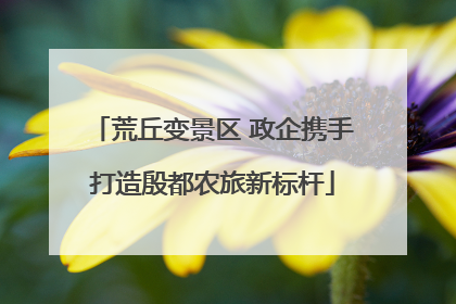 荒丘变景区 政企携手打造殷都农旅新标杆