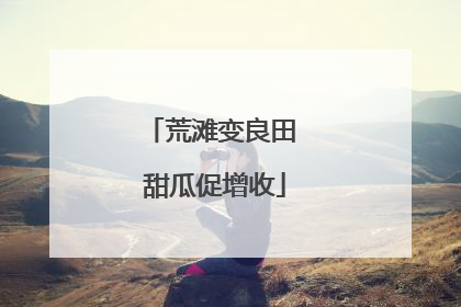 荒滩变良田 甜瓜促增收