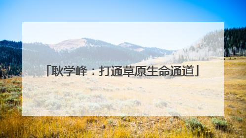 耿学峰：打通草原生命通道
