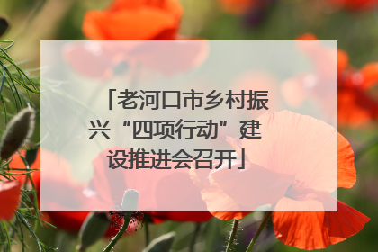 老河口市乡村振兴“四项行动”建设推进会召开