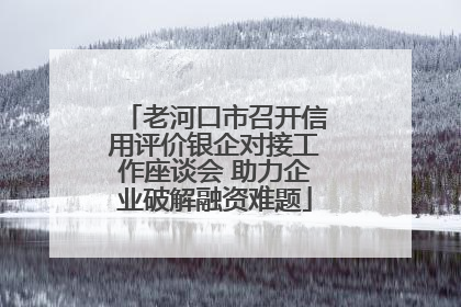 老河口市召开信用评价银企对接工作座谈会 助力企业破解融资难题