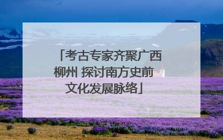 考古专家齐聚广西柳州 探讨南方史前文化发展脉络