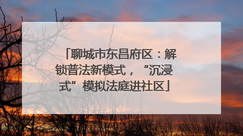 聊城市东昌府区：解锁普法新模式，“沉浸式”模拟法庭进社区