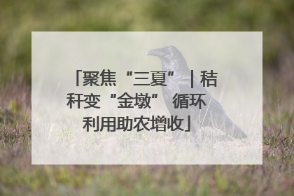 聚焦“三夏”｜秸秆变“金墩” 循环利用助农增收
