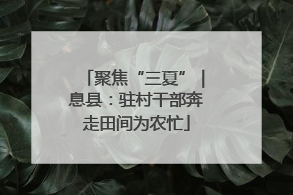 聚焦“三夏”｜息县：驻村干部奔走田间为农忙