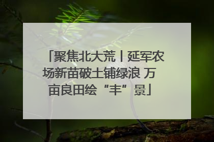 聚焦北大荒丨延军农场新苗破土铺绿浪 万亩良田绘“丰”景