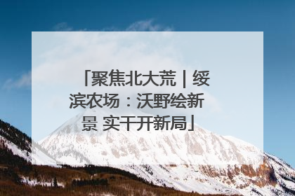 聚焦北大荒｜绥滨农场：沃野绘新景 实干开新局