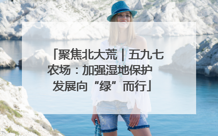 聚焦北大荒｜五九七农场：加强湿地保护 发展向“绿”而行