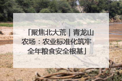 聚焦北大荒｜青龙山农场：农业标准化筑牢全年粮食安全根基