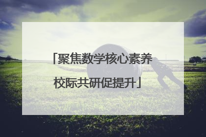 聚焦数学核心素养 校际共研促提升