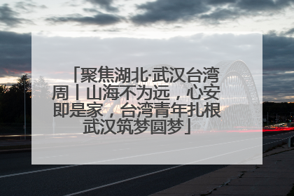 聚焦湖北·武汉台湾周丨山海不为远，心安即是家，台湾青年扎根武汉筑梦圆梦