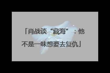 肖战谈“藏海”：他不是一味想要去复仇