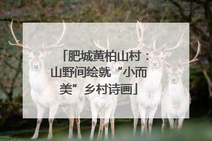 肥城黄柏山村：山野间绘就“小而美”乡村诗画