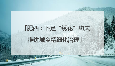肥西：下足“绣花”功夫 推进城乡精细化治理
