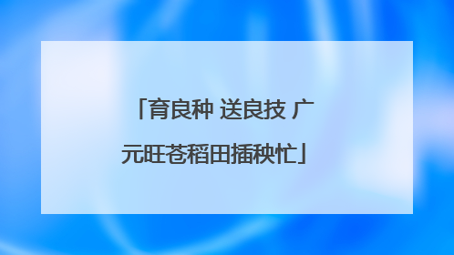 育良种 送良技 广元旺苍稻田插秧忙