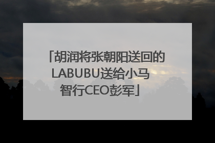 胡润将张朝阳送回的LABUBU送给小马智行CEO彭军