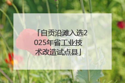 自贡沿滩入选2025年省工业技术改造试点县