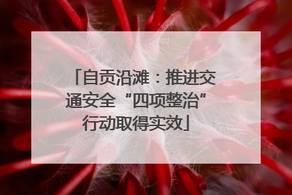 自贡沿滩：推进交通安全“四项整治”行动取得实效