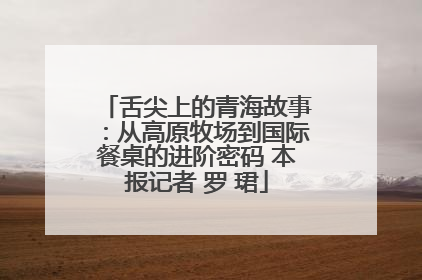 舌尖上的青海故事：从高原牧场到国际餐桌的进阶密码 本报记者 罗 珺