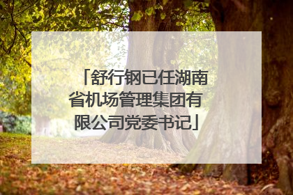 舒行钢已任湖南省机场管理集团有限公司党委书记