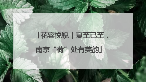 花容悦貌｜夏至已至，南京“荷”处有美韵